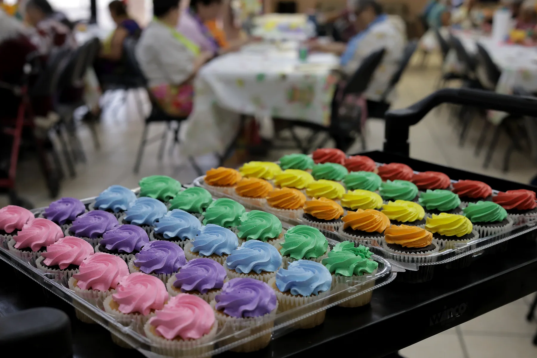 Trays of iced cupcakes set out for a birthday celebration